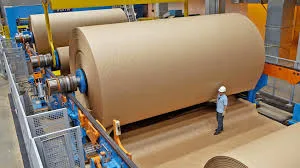 papel e celulose